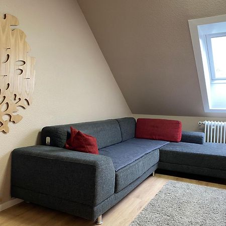 S-Villa Apartments Im Schwarzwald Schiltach Eksteriør bilde