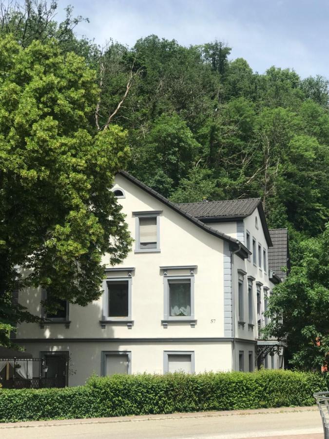 S-Villa Apartments Im Schwarzwald Schiltach Eksteriør bilde