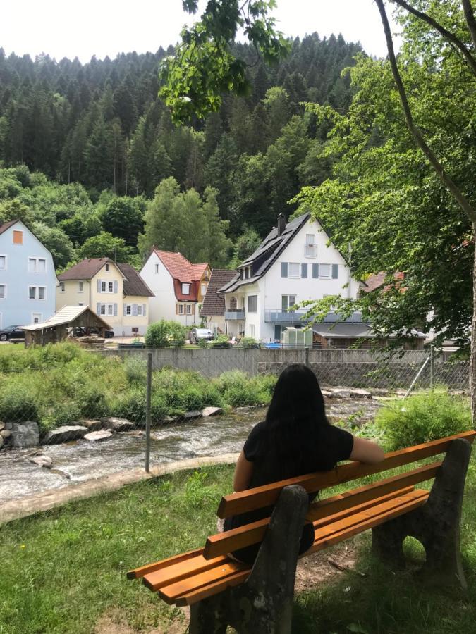 S-Villa Apartments Im Schwarzwald Schiltach Eksteriør bilde