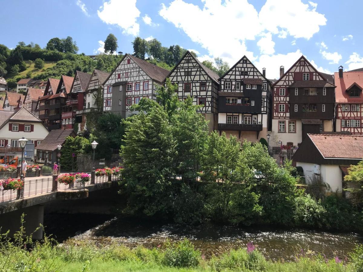 S-Villa Apartments Im Schwarzwald Schiltach Eksteriør bilde