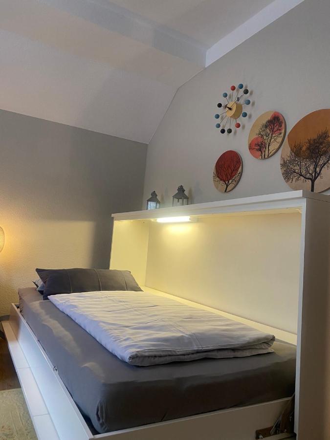 S-Villa Apartments Im Schwarzwald Schiltach Eksteriør bilde