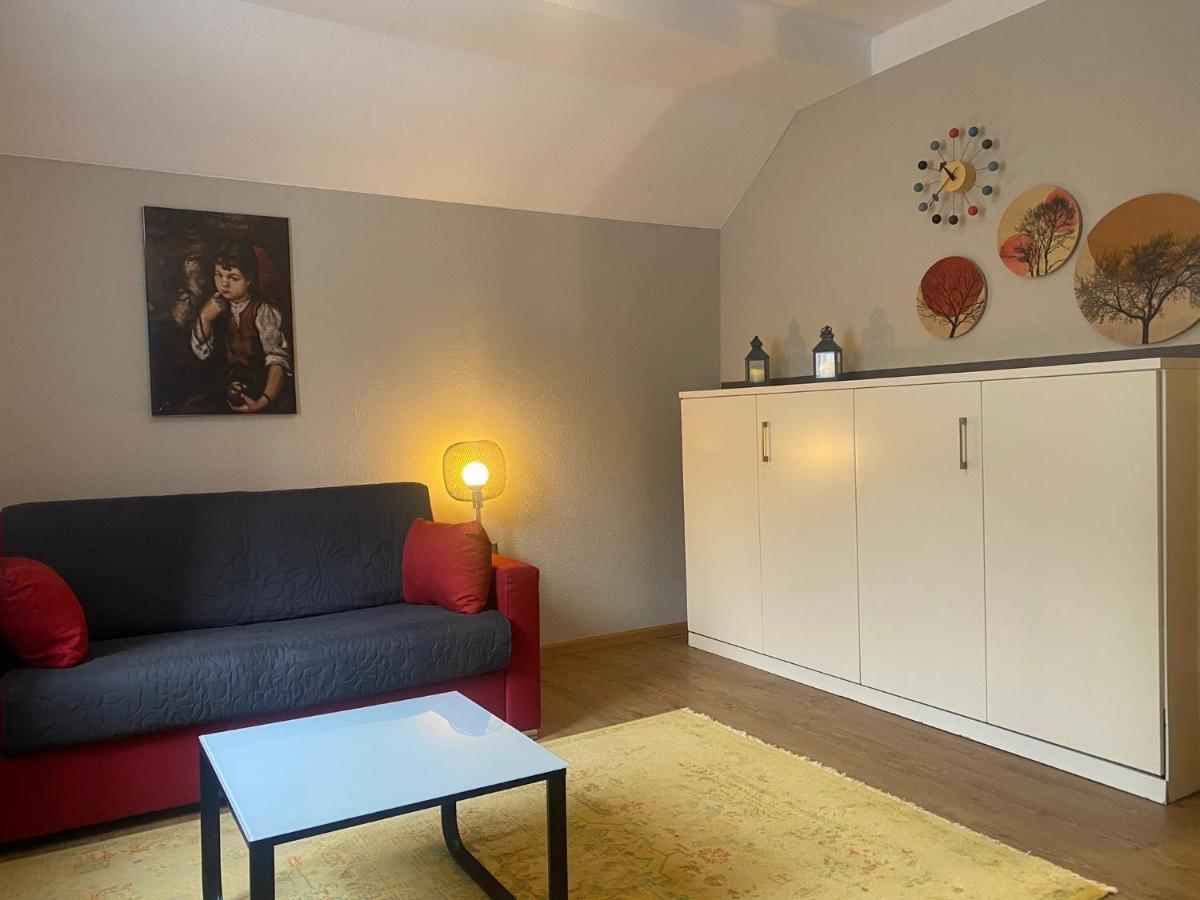 S-Villa Apartments Im Schwarzwald Schiltach Eksteriør bilde