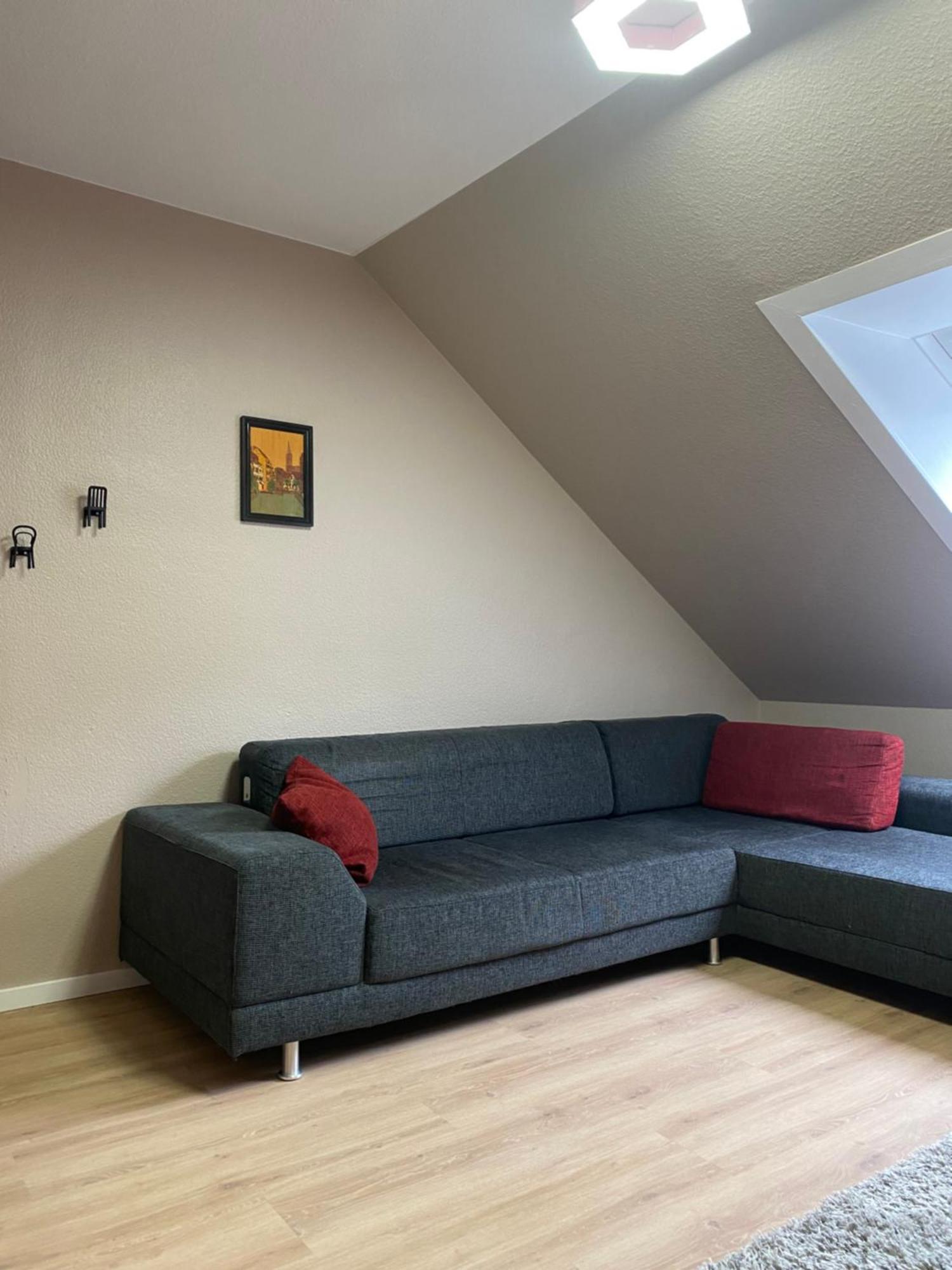 S-Villa Apartments Im Schwarzwald Schiltach Eksteriør bilde
