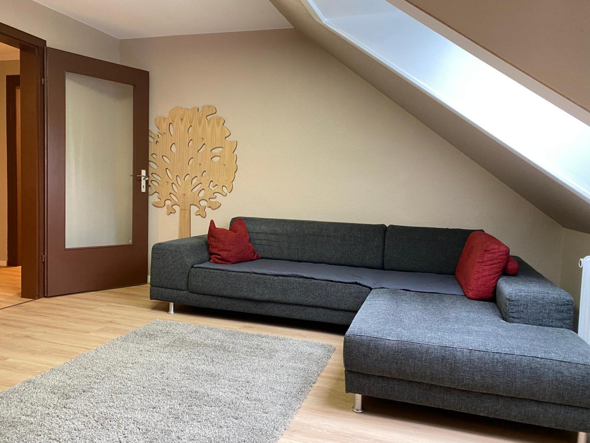 S-Villa Apartments Im Schwarzwald Schiltach Eksteriør bilde