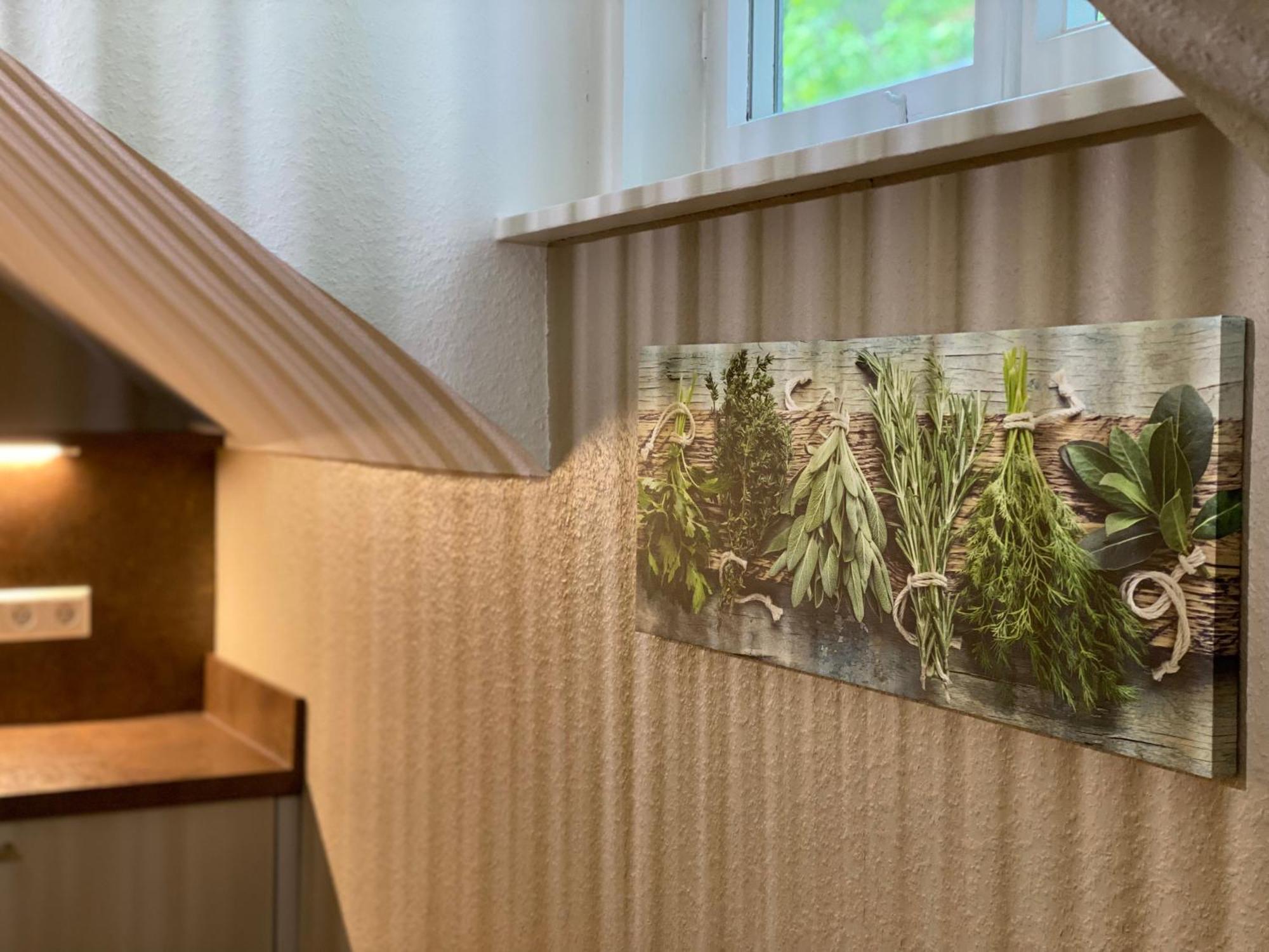S-Villa Apartments Im Schwarzwald Schiltach Eksteriør bilde
